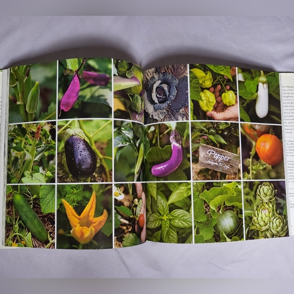 American Grown by Michelle Obama hardcover book EUC - Picture 4 of 5